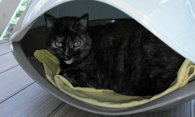 Condolence image of Sabine mit Heidi