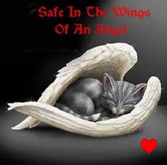 Condolence image of Andrea mit Minki im ❤