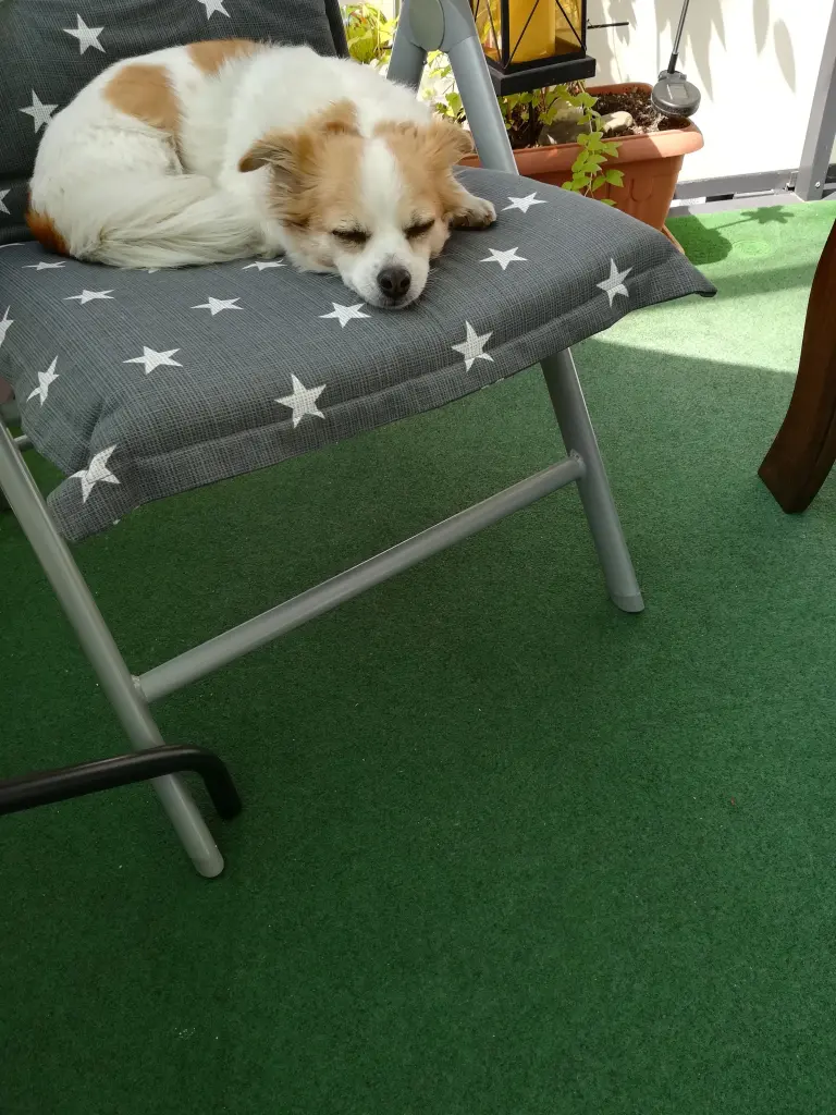 Condolence image of Norbert