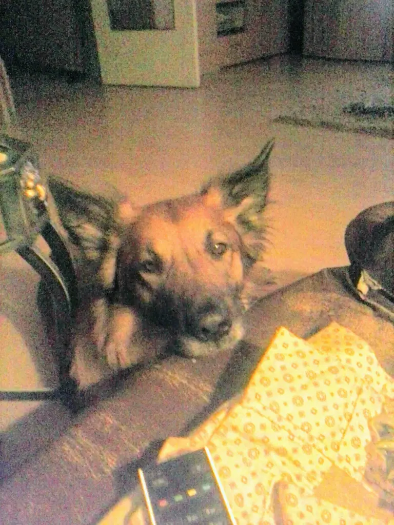 Condolence image of Sandra