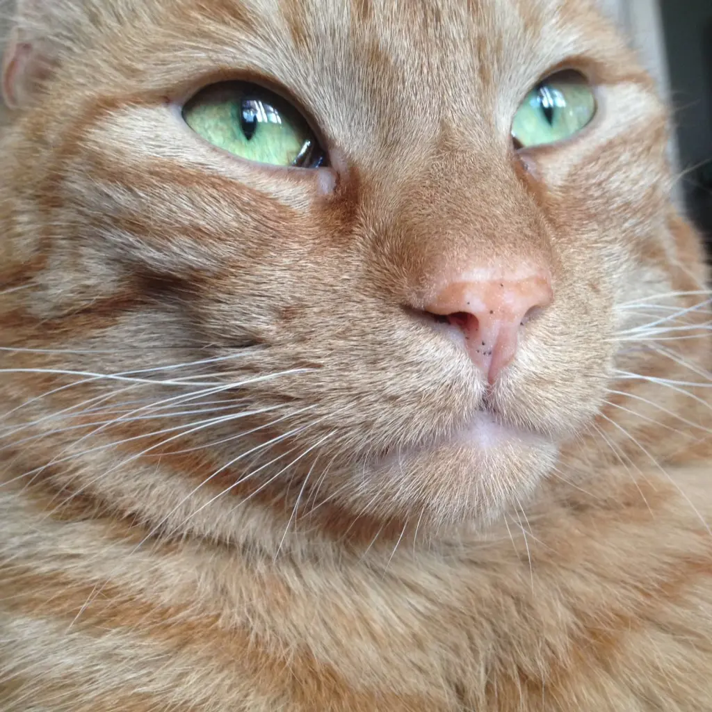 Image from Casper