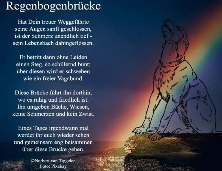 Condolence image of Kerstin Windemuth