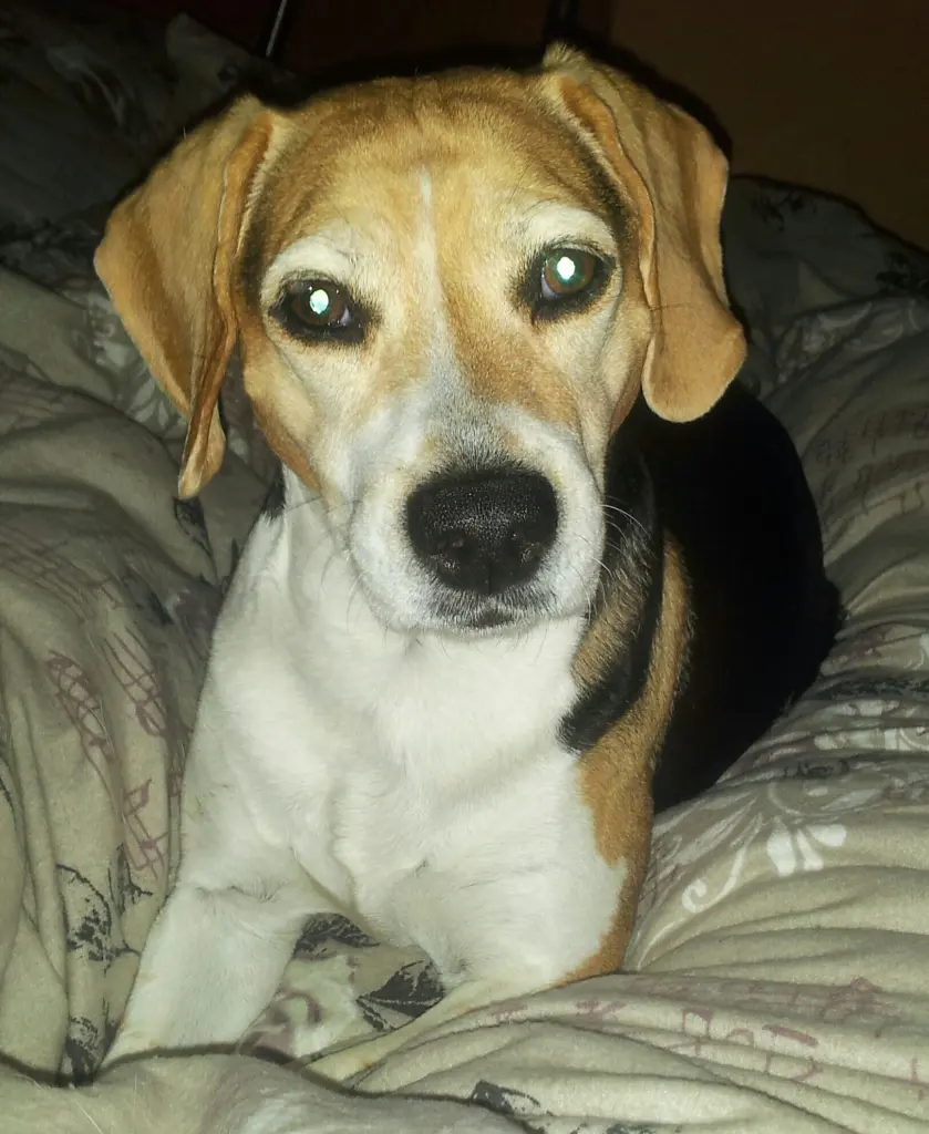 Condolence image of Sabine