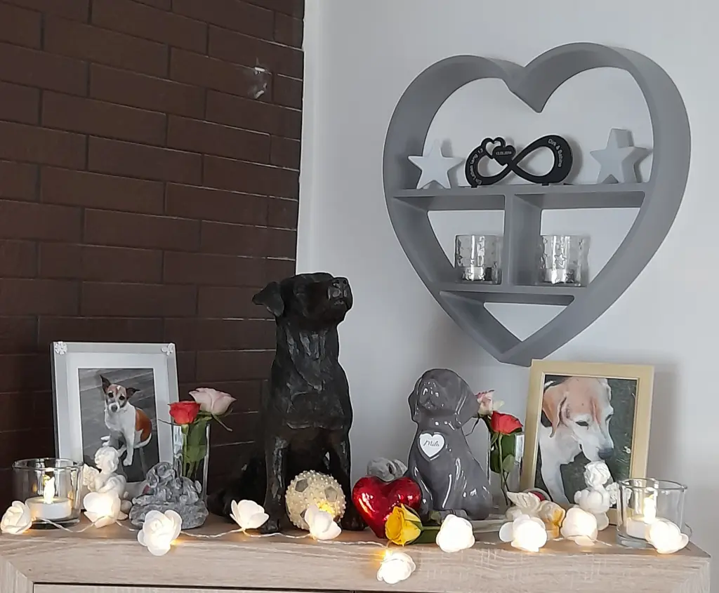 Condolence image of Sabine mit Luna & Milo tief im Herzen 