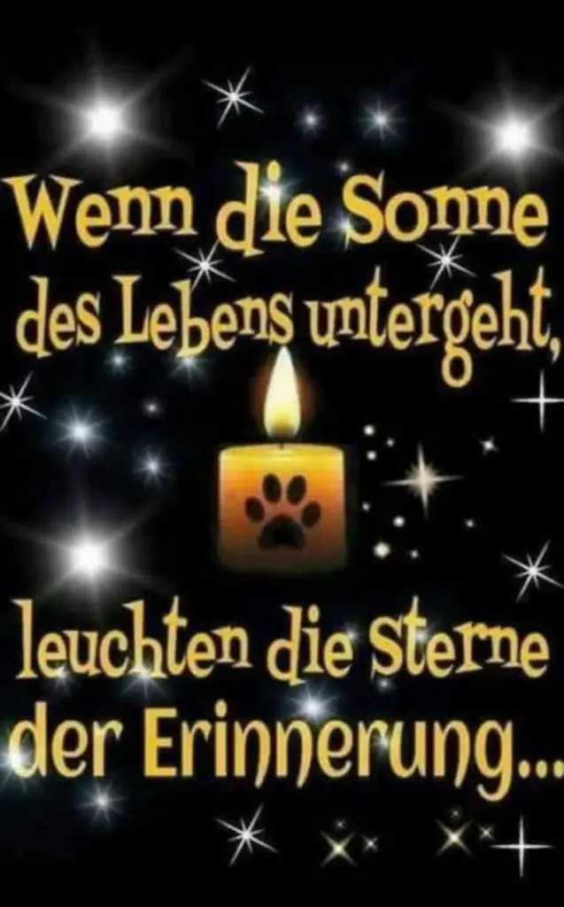 Condolence image of Sabine mit Luna & Milo tief im Herzen