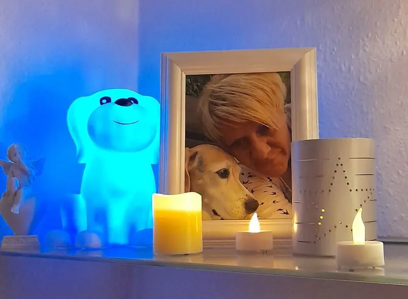 Condolence image of Sabine mit Luna & Milo tief im Herzen 