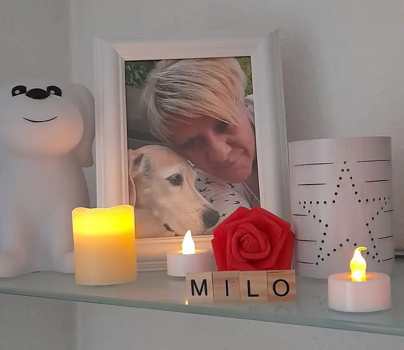 Condolence image of Sabine mit Luna & Milo tief im Herzen