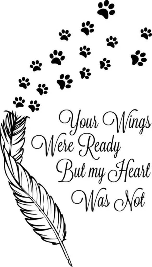 Condolence image of Sabine mit Luna & Milo tief im Herzen