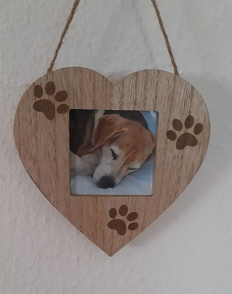Condolence image of Sabine mit Luna & Milo tief im Herzen