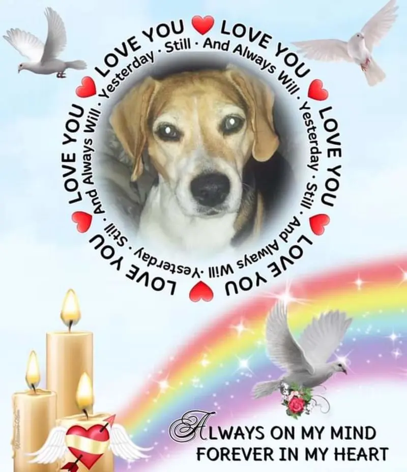 Condolence image of ❤ Ich liebe Dich ❤