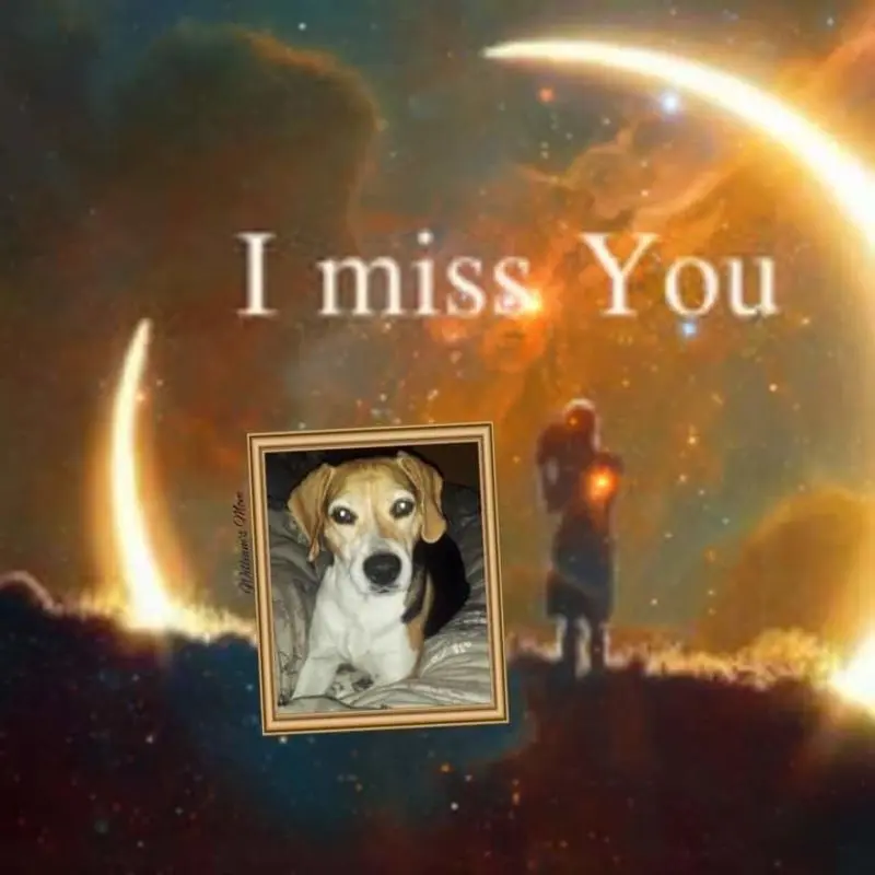 Condolence image of ❤ Ich liebe Dich ❤