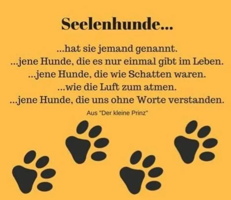 Condolence image of Sabine mit Luna & Milo tief im Herzen