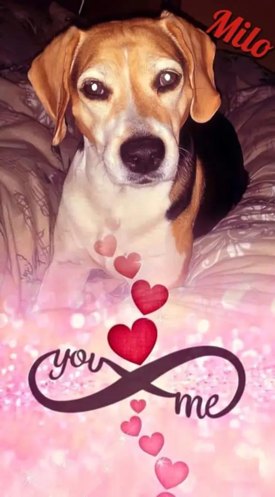 Condolence image of ❤ Ich liebe Dich ❤