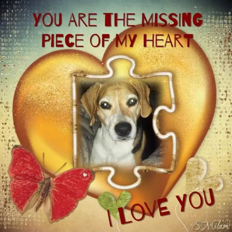Condolence image of ❤ Ich liebe Dich ❤