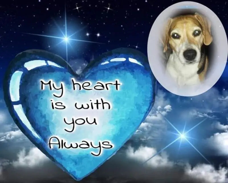 Condolence image of ❤ Ich liebe Dich ❤