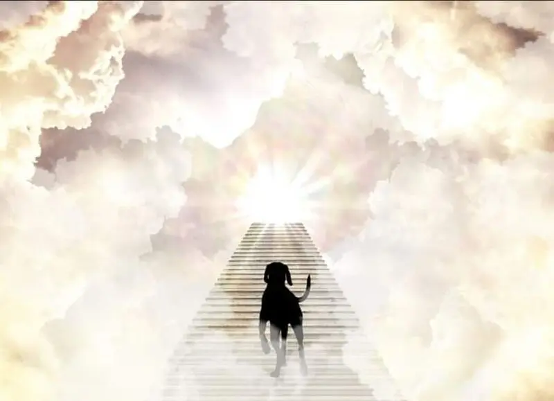 Condolence image of ❤ Ich liebe Dich ❤