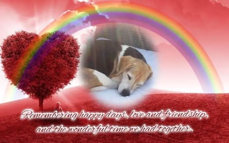 Condolence image of ❤ Ich liebe Dich ❤
