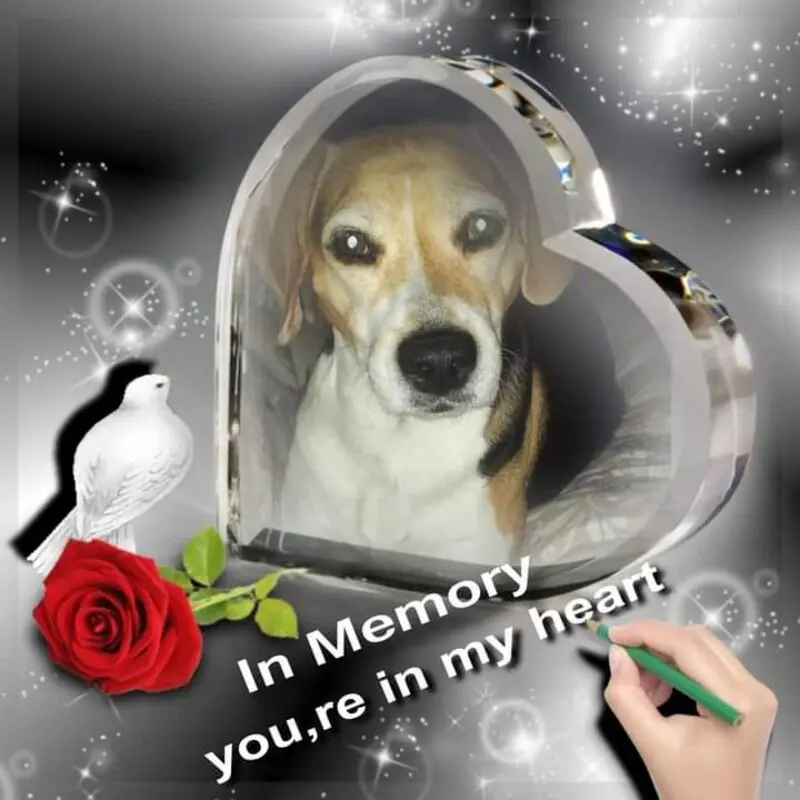 Condolence image of ❤ Ich liebe Dich ❤