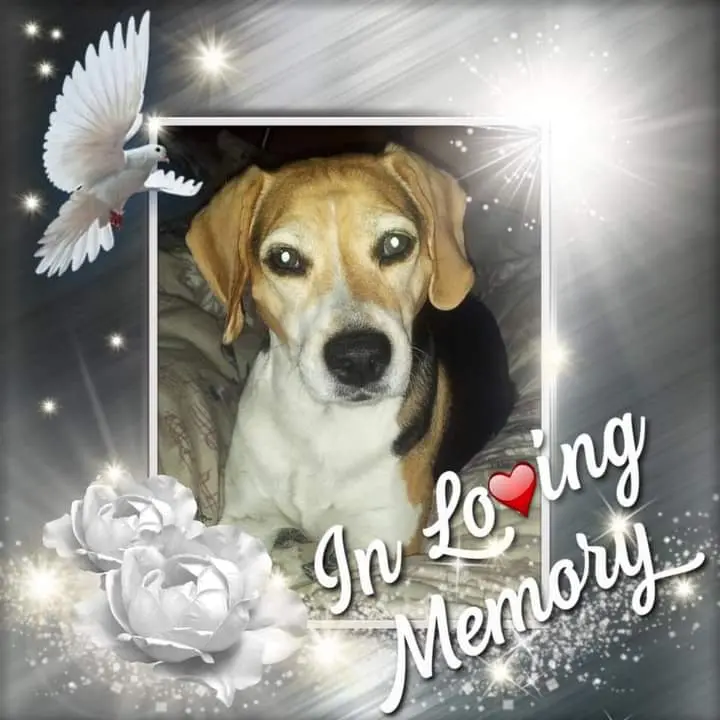 Condolence image of ❤ Ich liebe Dich ❤