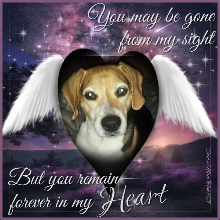 Condolence image of ❤ Ich liebe Dich ❤