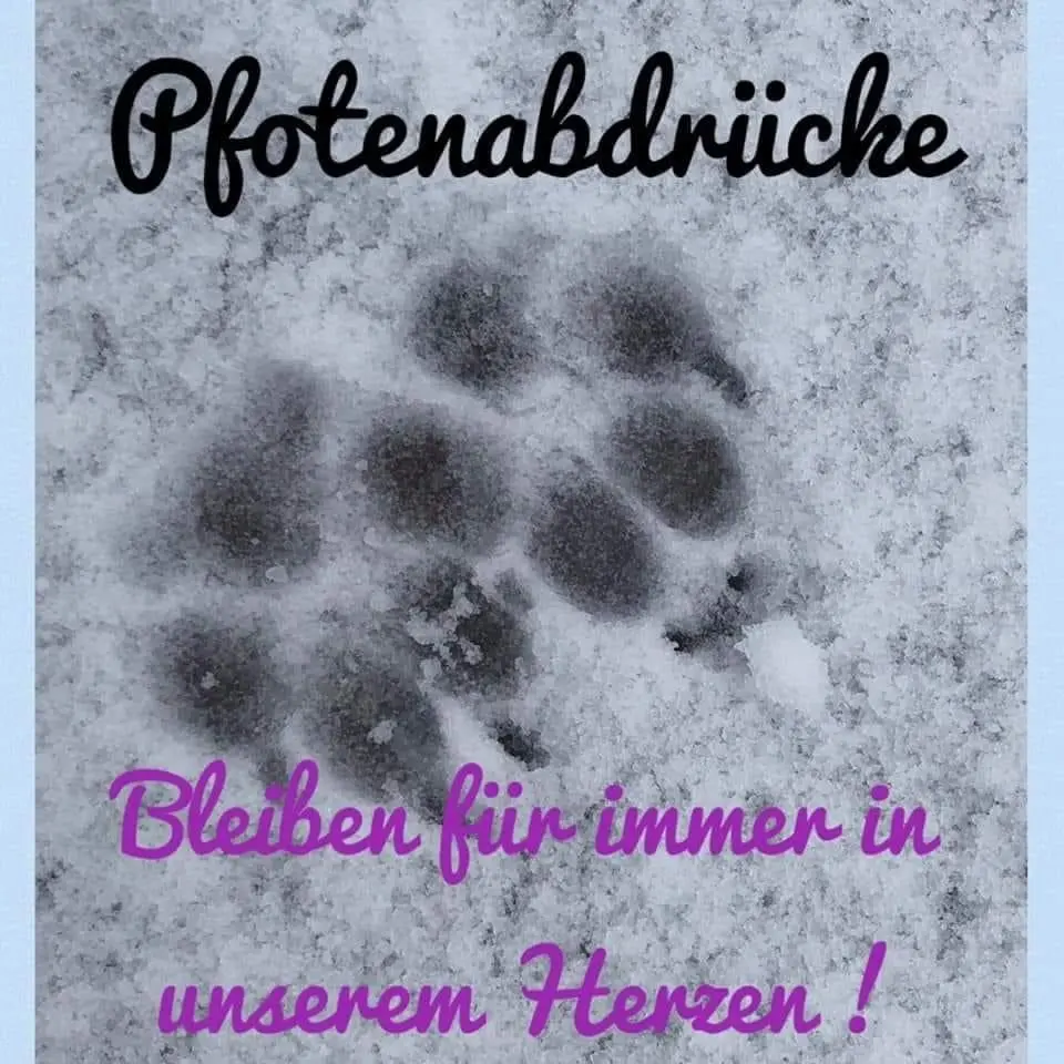 Condolence image of Stefanie