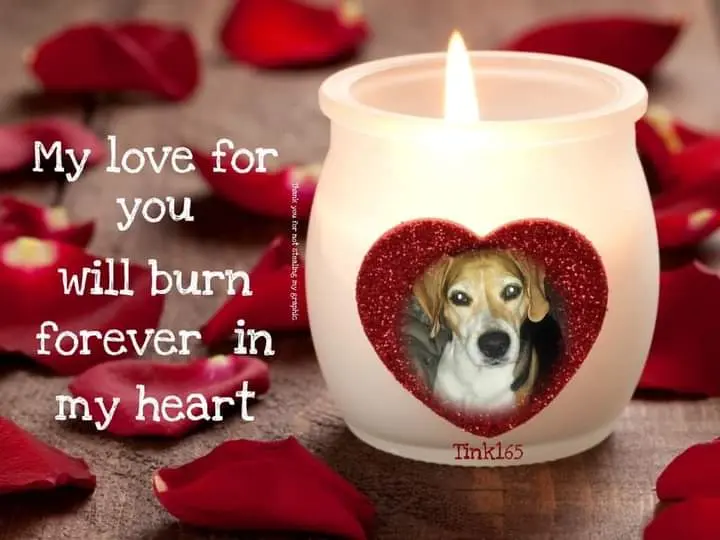 Condolence image of ❤Ich liebe Dich ❤