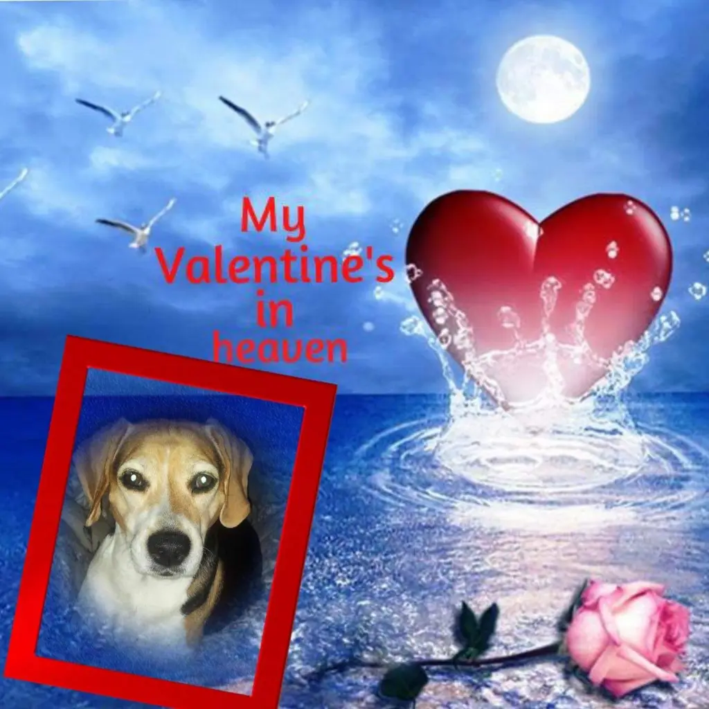 Condolence image of Ich liebe Euch ❤
