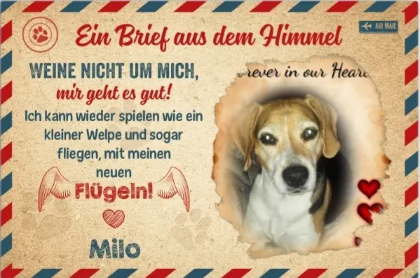 Condolence image of Dein Frauchen ❤