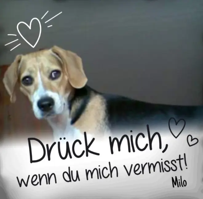 Condolence image of ❤ Ich liebe Dich ❤