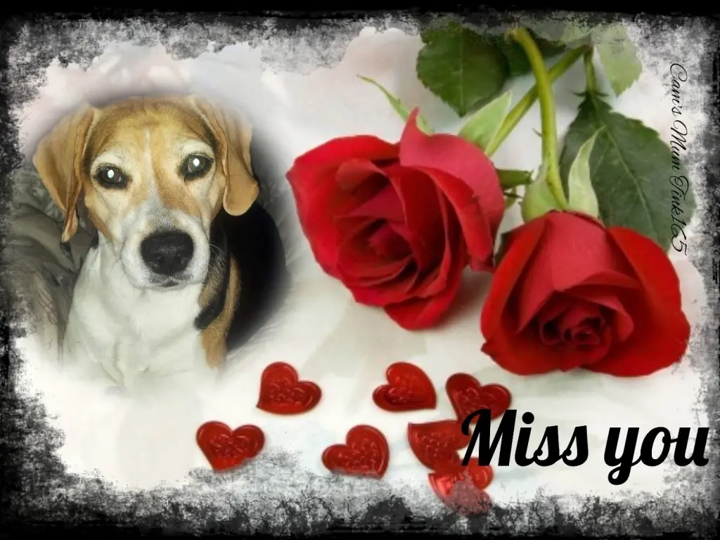 Condolence image of Stefanie Thormann 