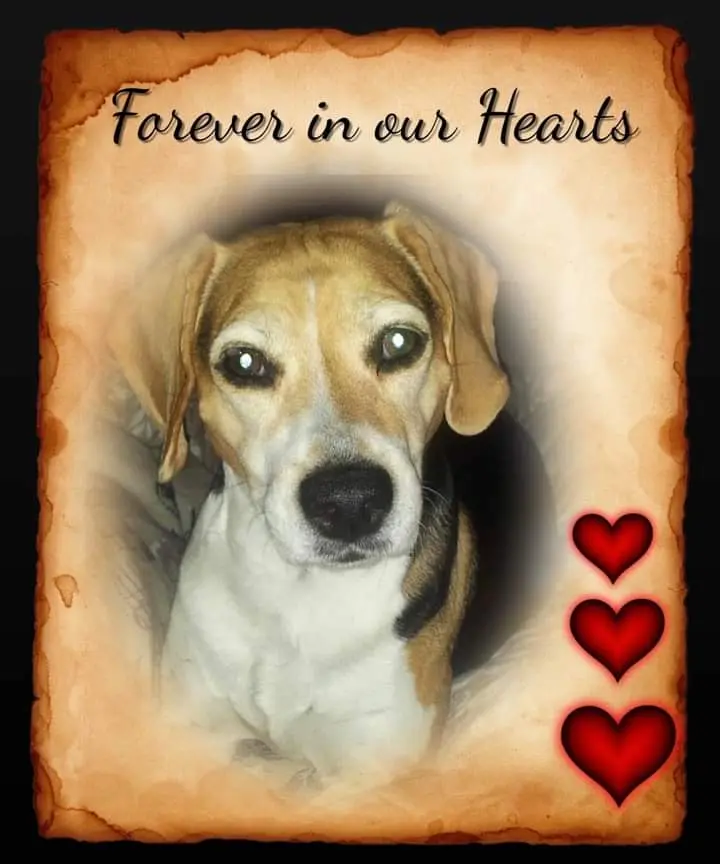 Condolence image of ❤ Ich liebe Dich ❤