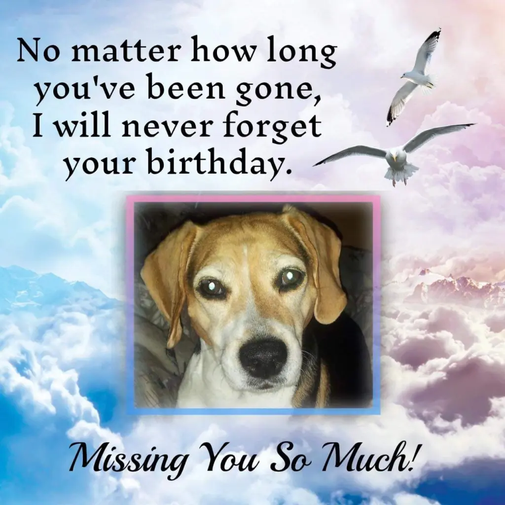 Condolence image of ❤ Ich liebe Dich ❤