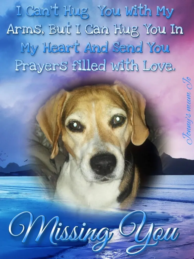 Condolence image of Stefanie  Thormann 