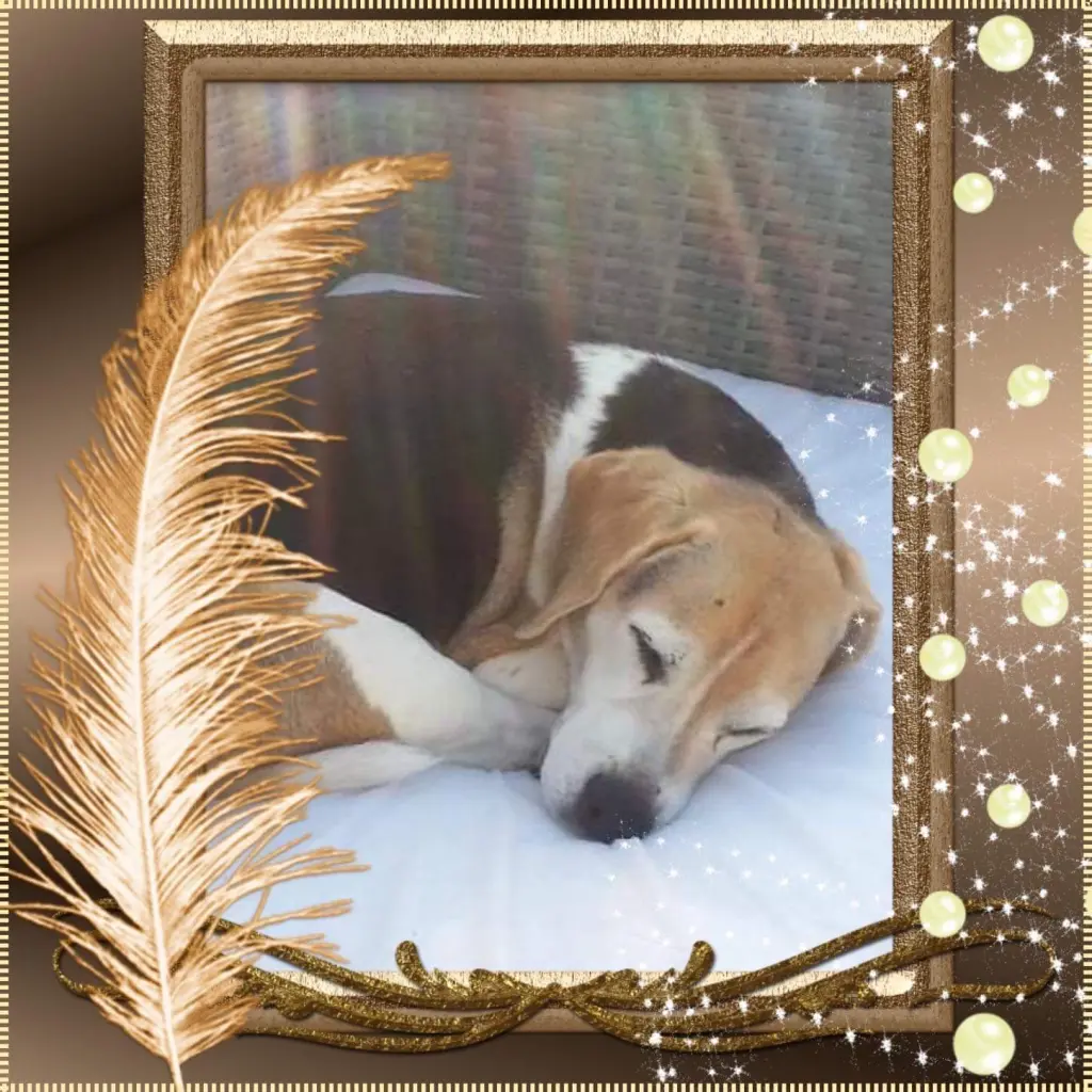 Condolence image of ❤ Ich liebe Dich ❤