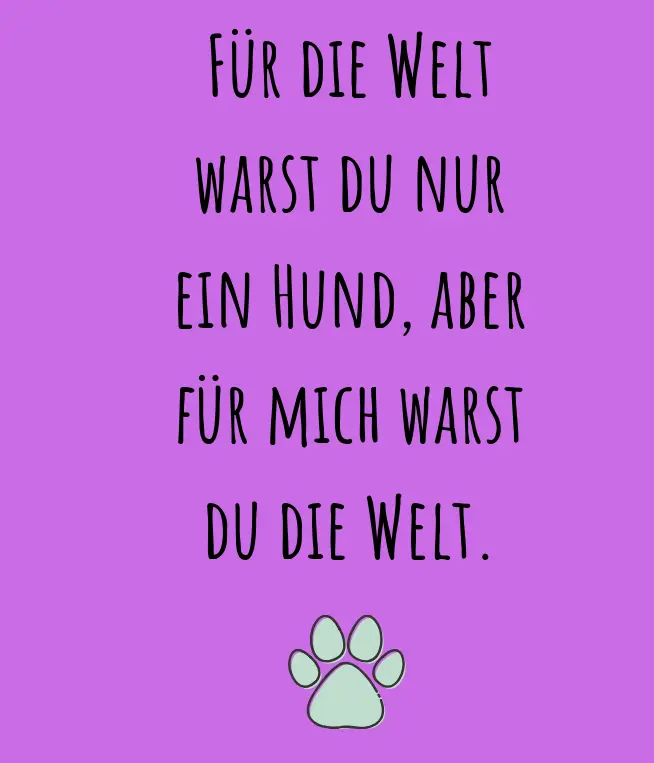Condolence image of Sabine mit Luna&Milo tief im Herzen 💕