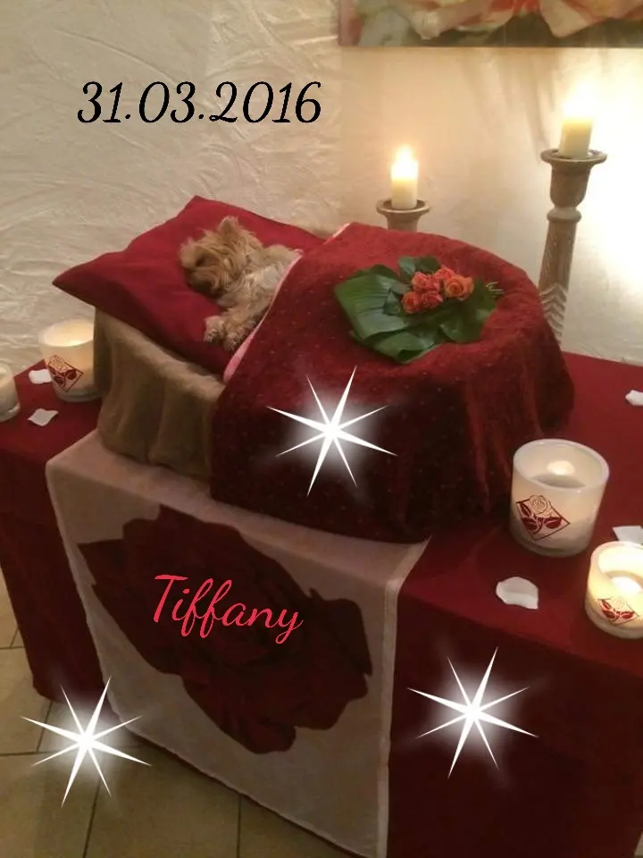 Condolence image of Unbekannt