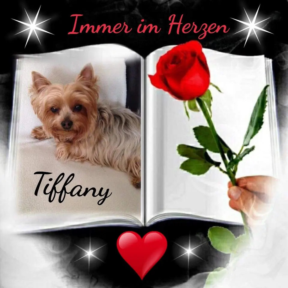 Condolence image of Ilona