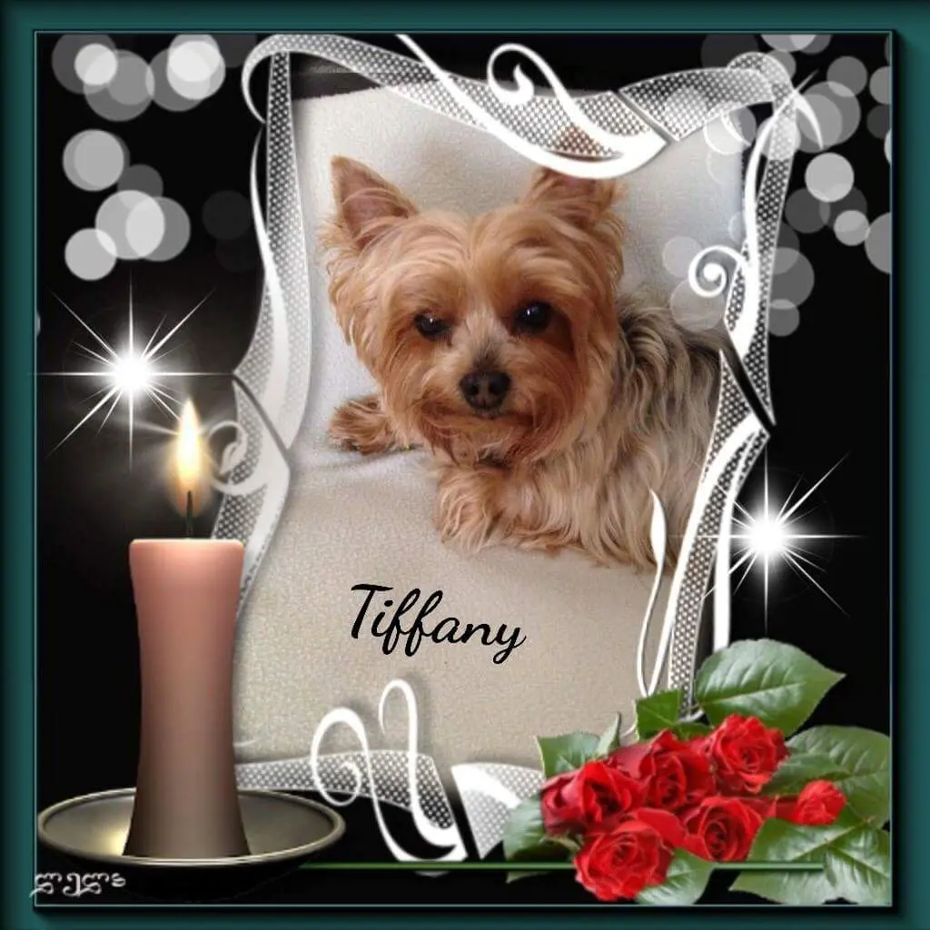 Condolence image of Unbekannt