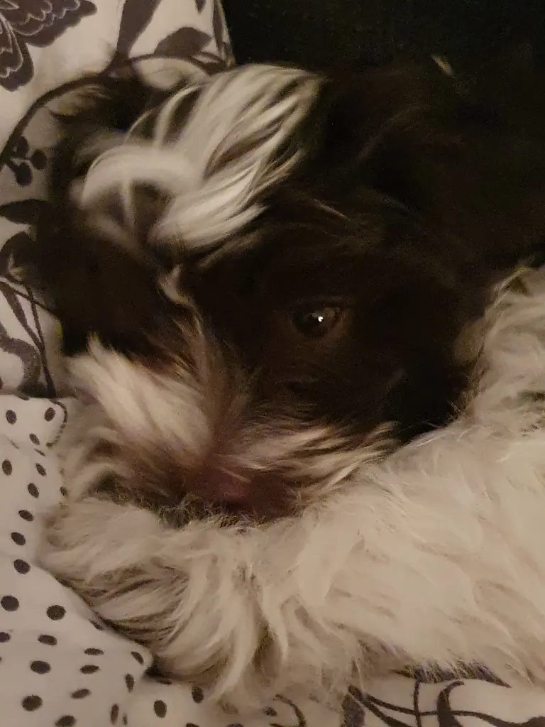 Condolence image of Bettina 