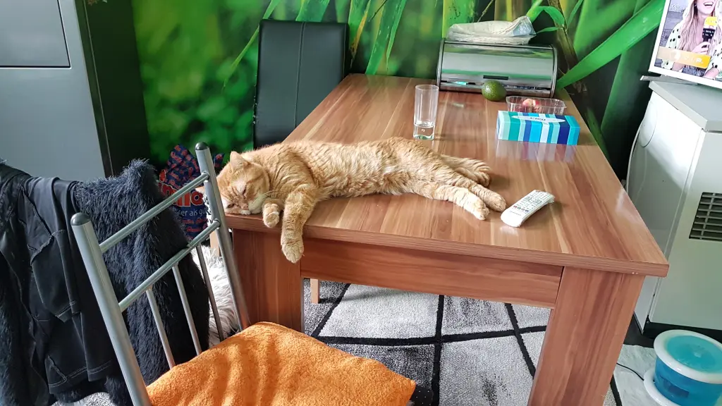 Image from Tigger