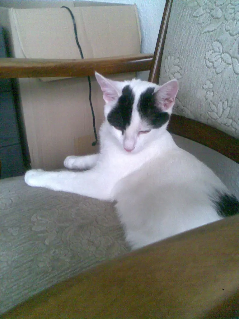 Image from Jimmy