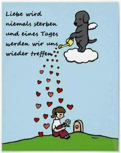 Condolence image of Kathrin Keune