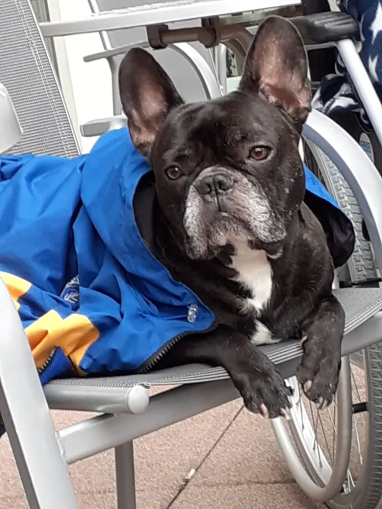 Andachtsbild von Justin John  Morley