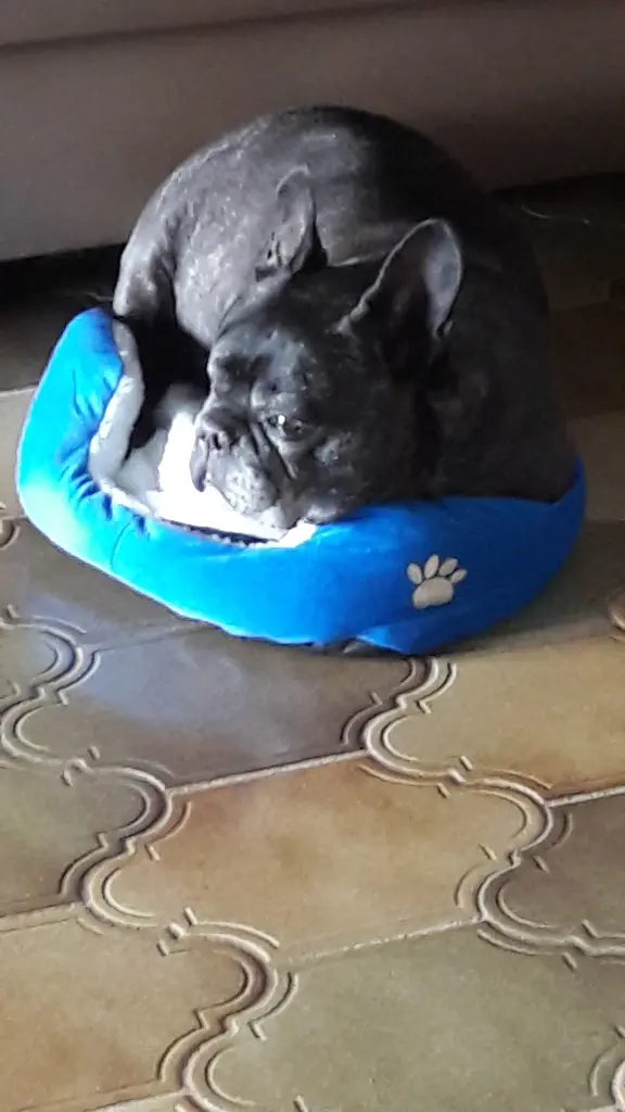 Andachtsbild von Unbekannt