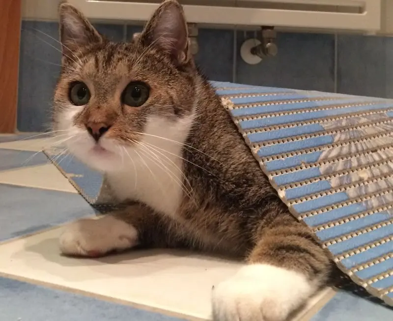 Andachtsbild von Carmen