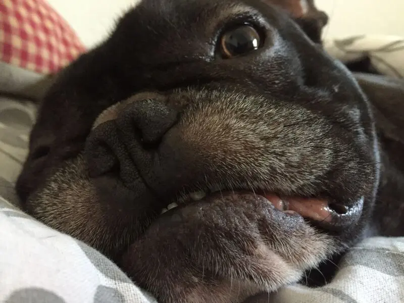 Andachtsbild von Mami