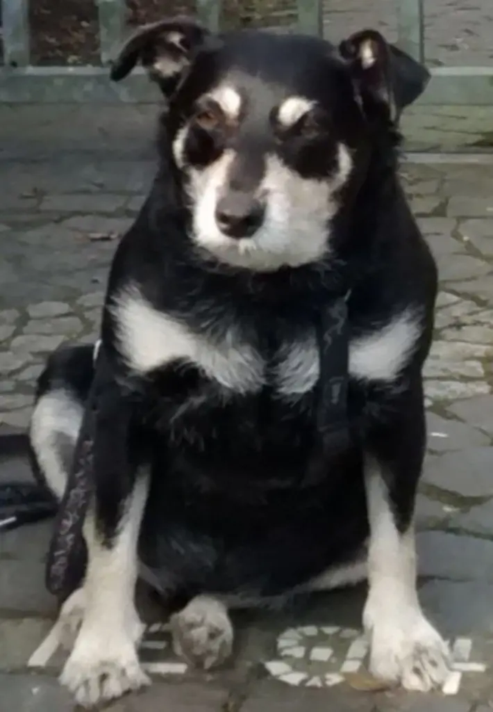 Condolence image of Sandra