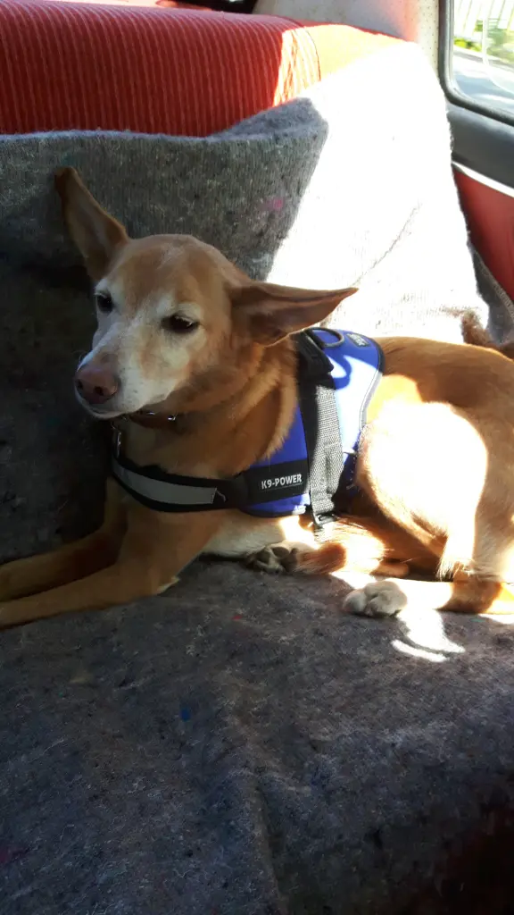 Condolence image of Vanessa