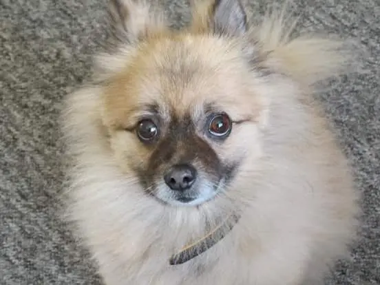 Condolence image of Sonja 