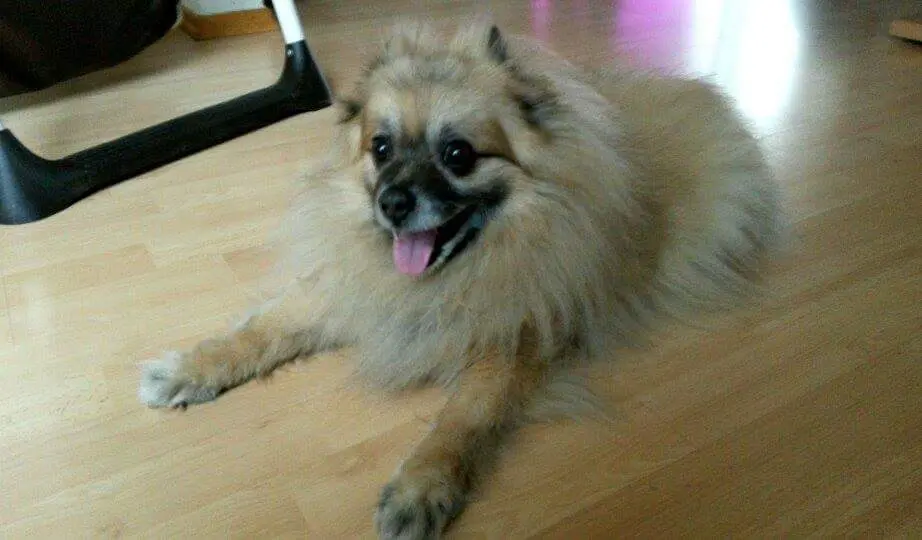 Condolence image of Sonja